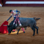 Corrida, Dax, France, 2018