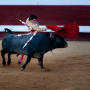 Corrida, Dax, France, 2018