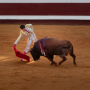 Corrida, Dax, France, 2018
