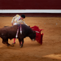 Corrida, Dax, France, 2018
