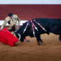 Corrida, Dax, France, 2018