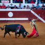 Corrida, Dax, France, 2018