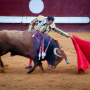 Corrida, Dax, France, 2018
