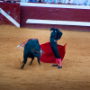 Corrida, Dax, France, 2018