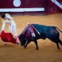 Corrida, Dax, France, 2018
