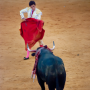Corrida, Dax, France, 2018