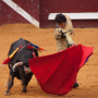 Corrida, Dax, France, 2014