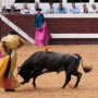 Corrida, Dax, France, 2014