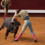 Corrida, Dax, France, 2014