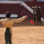 Corrida, Dax, France, 2014