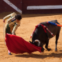 Corrida, Dax, France, 2014