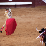 Corrida, Dax, France, 2014