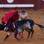 Corrida, Dax, France, 2014