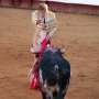 Corrida, Dax, France, 2014