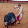 Corrida, Dax, France, 2014
