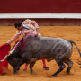 Corrida, Dax, France, 2014