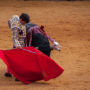Corrida, Dax, France, 2014
