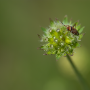 Donzy_20180716_DSC_4346