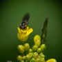 Donzy_20190506_DSC_5848