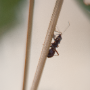 donzy_20130727_DSC05241