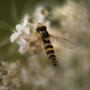 donzy_20130727_DSC05254