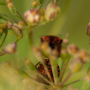 donzy_20130728_DSC05864