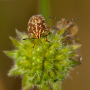 donzy_20130728_DSC05875