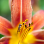 sans titre_20130713_DSC04729