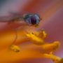 sans titre_20130713_DSC04933