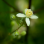 Donzy_20180716_DSC_4299
