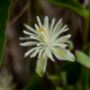 Donzy_20180828_DSC_5055-Modifier