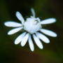 Donzy_20190506_DSC_5881