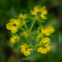 Donzy_20190507_DSC_5951