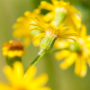 donzy_20130727_DSC05444