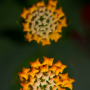 Dax_20180907_DSC_5096-Modifier