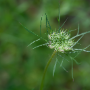 Dax_20190705_DSC_6004