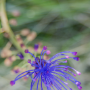 Donzy_20150529_DSC09435
