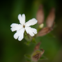 Donzy_20180716_DSC_4311