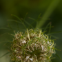 donzy_20130728_DSC05511