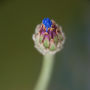 Donzy_20150525_DSC09129