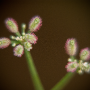 donzy_20130728_DSC05729