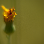 sans titre_20130714_DSC05006