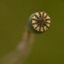 sans titre_20130714_DSC05072