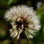 Donzy_20190504_DSC_5823