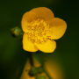 Donzy_20190507_DSC_5926