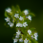 Donzy_20190507_DSC_5933