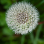 Donzy_20190507_DSC_5959