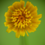 Dax_20190708_DSC_6193-Modifier