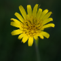 Donzy_20150528_DSC09378