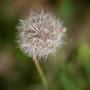 Donzy_20180715_DSC_4134